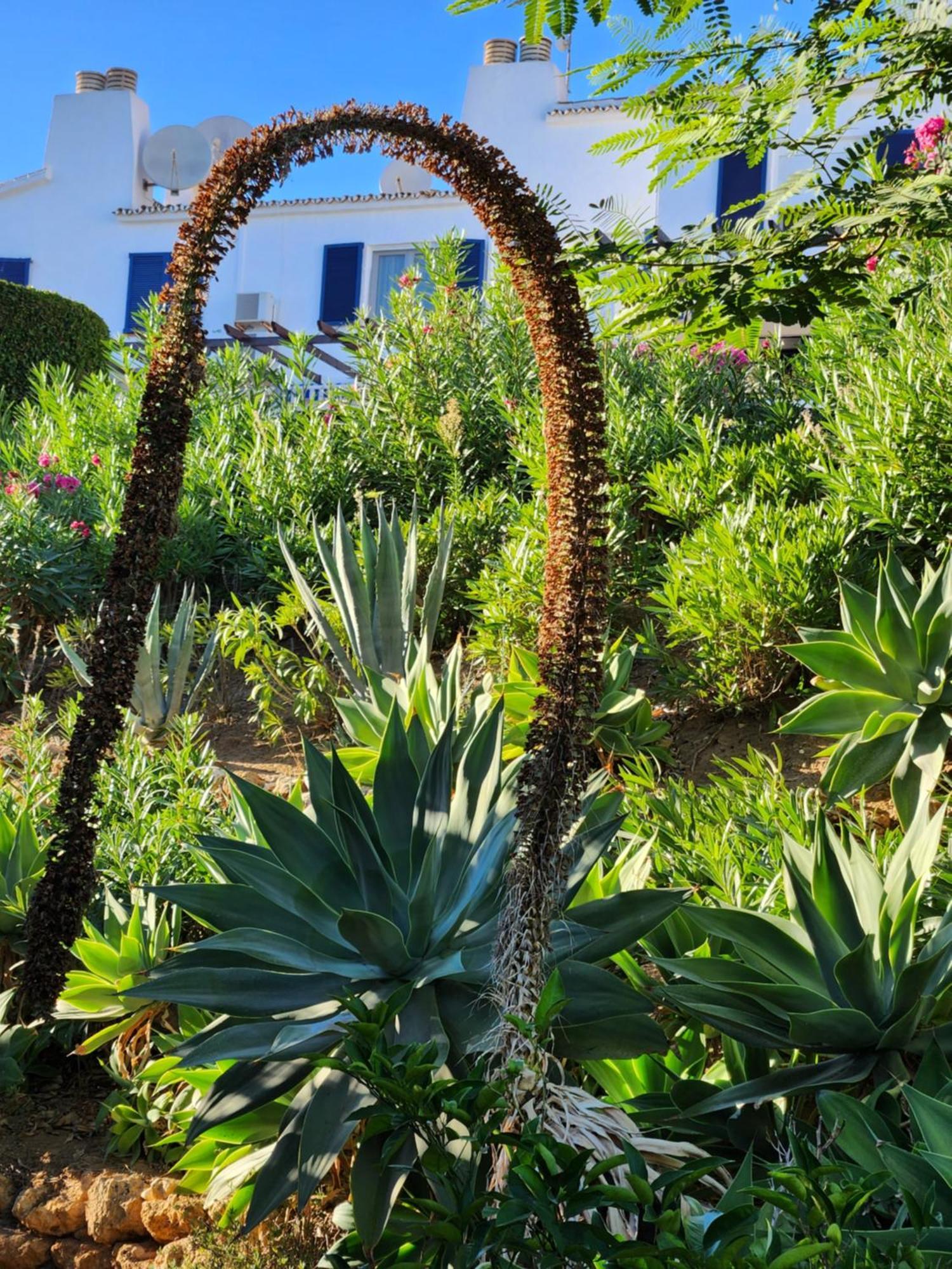 Elena Flat Lovely Paradise Above The Sea Sitio de Calahonda Εξωτερικό φωτογραφία