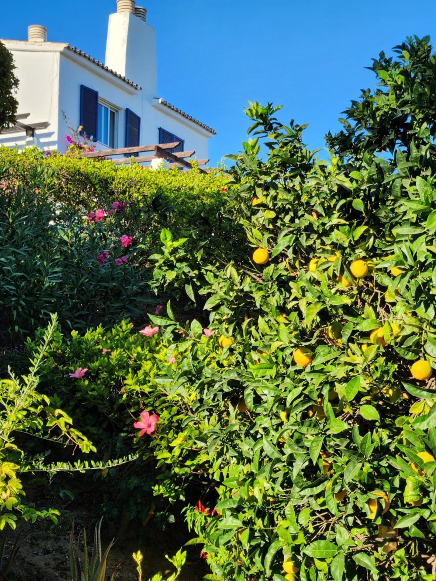 Elena Flat Lovely Paradise Above The Sea Sitio de Calahonda Εξωτερικό φωτογραφία