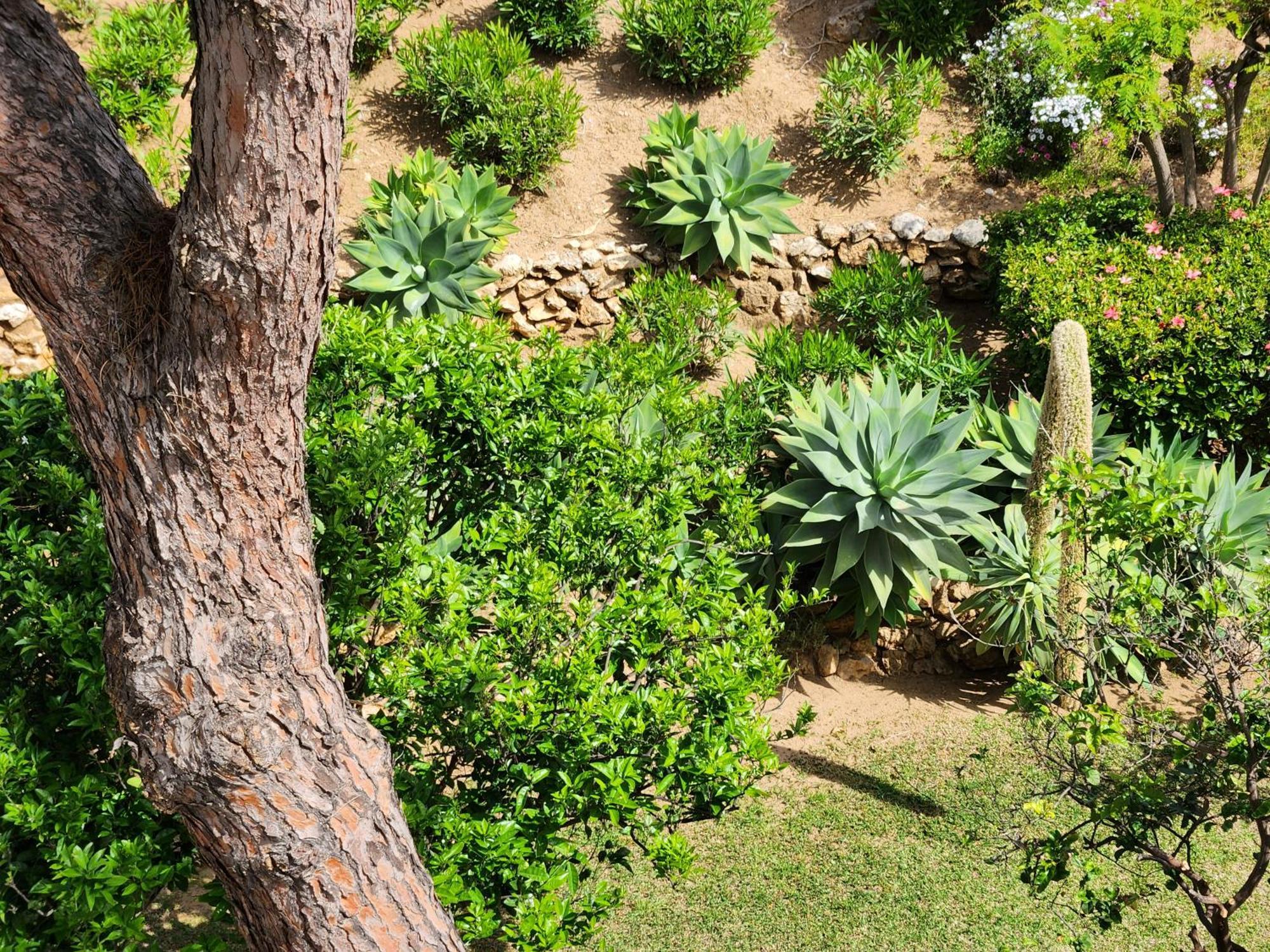 Elena Flat Lovely Paradise Above The Sea Sitio de Calahonda Εξωτερικό φωτογραφία